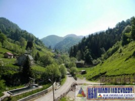 teren-intravilan-24-ha-valea-cheii-podul-dambovitei-dambovicioara-arges