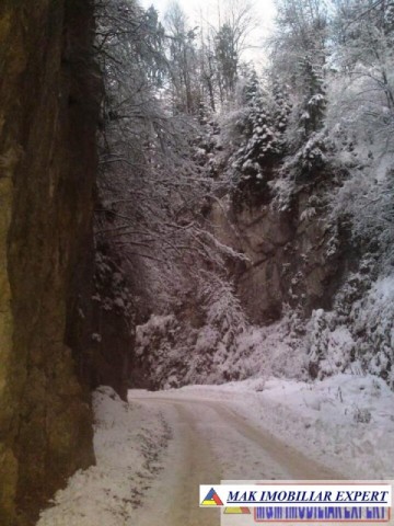 teren-intravilan-24-ha-valea-cheii-podul-dambovitei-dambovicioara-arges-6