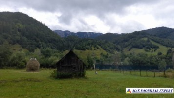 teren-725mp-intravilan-rucar-satic