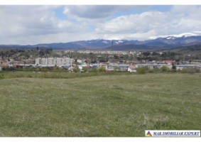 vand-teren-intraextravilan-335-ha-cretisoara-arges-ideal-pentru-dezvoltare-rezidentiala-sau-turistica