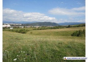vand-teren-intraextravilan-335-ha-cretisoara-arges-ideal-pentru-dezvoltare-rezidentiala-sau-turistica-2
