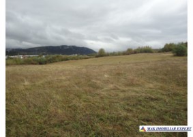 vand-teren-intraextravilan-335-ha-cretisoara-arges-ideal-pentru-dezvoltare-rezidentiala-sau-turistica-3