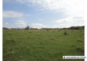 vand-teren-intraextravilan-335-ha-cretisoara-arges-ideal-pentru-dezvoltare-rezidentiala-sau-turistica-1