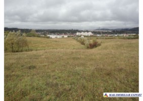vand-teren-intraextravilan-335-ha-cretisoara-arges-ideal-pentru-dezvoltare-rezidentiala-sau-turistica-4