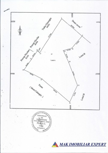 vand-teren-intraextravilan-335-ha-cretisoara-arges-ideal-pentru-dezvoltare-rezidentiala-sau-turistica-6