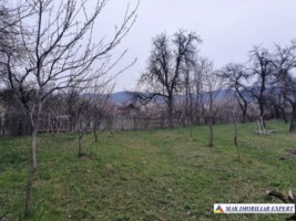 teren-intravilan-2000-mp-de-vanzare-in-domnesti-arges-potential-rezidential