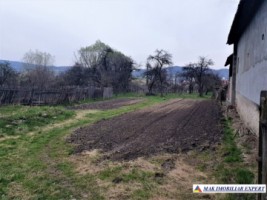 teren-intravilan-2000-mp-de-vanzare-in-domnesti-arges-potential-rezidential-1