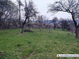teren-intravilan-2000-mp-de-vanzare-in-domnesti-arges-potential-rezidential-2