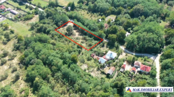 teren-intravilan-2000-mp-merisani-arges-ideal-pentru-constructii-1