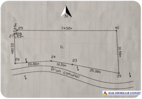 teren-intravilan-2000-mp-merisani-arges-ideal-pentru-constructii-4