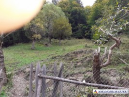 teren-extravilan-2500-mp-rucar-arges-ideal-pentru-proiecte-agricole-si-rurale-2