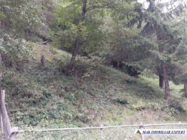 teren-extravilan-2500-mp-rucar-arges-ideal-pentru-proiecte-agricole-si-rurale-1