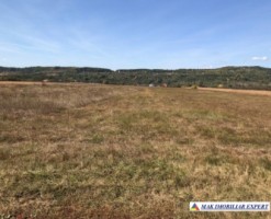 teren-intravilan-2500-mp-moraresti-arges-ideal-pentru-constructii