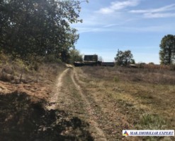 teren-intravilan-2500-mp-moraresti-arges-ideal-pentru-constructii-3