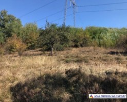 teren-intravilan-2500-mp-moraresti-arges-ideal-pentru-constructii-1