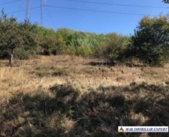 teren-intravilan-2500-mp-moraresti-arges-ideal-pentru-constructii-2