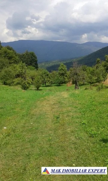 teren-3-ha-intraextravilan-de-vanzare-in-godeni-arges-oportunitate-pentru-dezvoltare-imobiliara-1