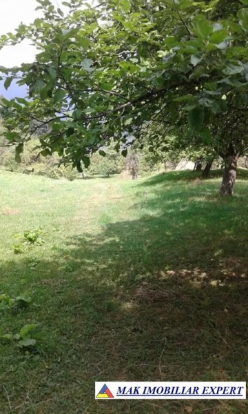 teren-3-ha-intraextravilan-de-vanzare-in-godeni-arges-oportunitate-pentru-dezvoltare-imobiliara-4