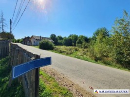 vand-teren-de-constructii-3299-mp-loturi-l1-1656-mp-si-l2-1643-mp-stalpeni-arges-ideal-pentru-constructii-rezidentiale-sau-dezvoltare-imobiliara-1