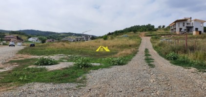 teren-intravilan-de-vanzare-cetate