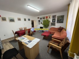 casa-de-vanzare-in-alba-iulia-zona-centru-ideala-pentru-doua-familii-finisata-complet-19