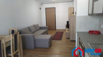 apartament-cu-3-camere-de-inchiriat-zona-turnisor-24