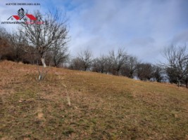 oferta-casa-de-vanzare-cu-3-hectare-teren-alba-iulia-zona-inuri