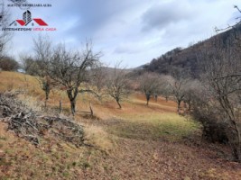 oferta-casa-de-vanzare-cu-3-hectare-teren-alba-iulia-zona-inuri-4