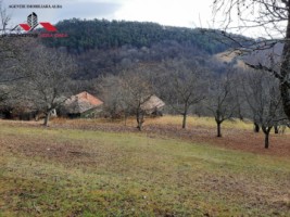 oferta-casa-de-vanzare-cu-3-hectare-teren-alba-iulia-zona-inuri-8