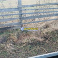 teren-intravilan-cu-constructie-de-vanzare-in-alba-iulia-20000-mp-6