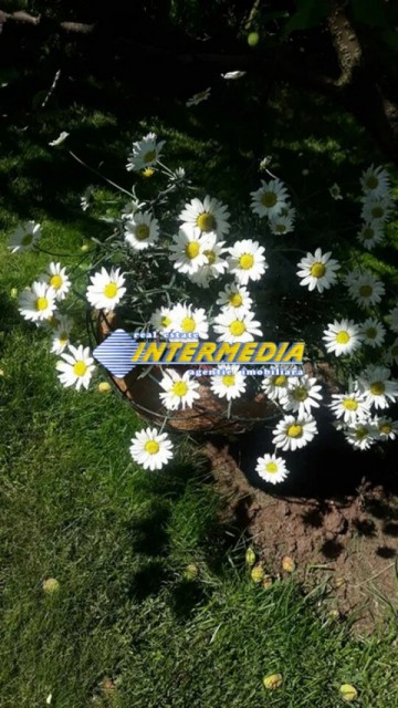 apartament-cu-3-camere-in-vila-de-vanzare-in-alba-iulia-zona-kaufland-8