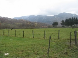 rasnov-teren-3000-mp-langa-conca-verde-2