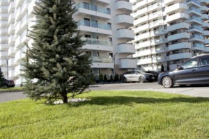 apartament-2-camere-de-vanzare-in-iasi-copou-la-2-minute-de-rond-agronomie-5