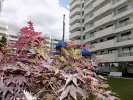 apartament-2-camere-royal-town-copou-decomandat-bucatarie-inchisa-2-balcoane-2