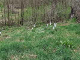 teren-intravilan-zona-manastirea-popaputi-luizoaia