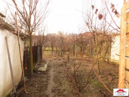 casa-cu-gradina-strada-dara-id-22442-13