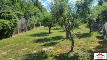 casa-cu-teren-viile-satu-mare-id-22467-2