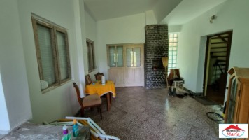 casa-cu-teren-viile-satu-mare-id-22467-7