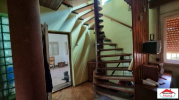 casa-cu-teren-viile-satu-mare-id-22467-9