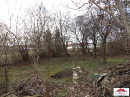 casa-cu-teren-3000-mp-zona-micro-17-id-21385-6