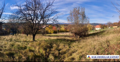 teren-intravilan-de-vanzare-2367-mp-in-flamanda-campulung-muscel-arges-3