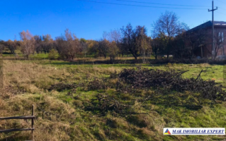 teren-intravilan-de-vanzare-2367-mp-in-flamanda-campulung-muscel-arges-6