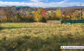 teren-intravilan-de-vanzare-2367-mp-in-flamanda-campulung-muscel-arges-8