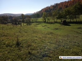 teren-intravilan-6000-mp-de-vanzare-in-albestii-de-muscel-candesti-arges