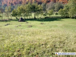 teren-intravilan-6000-mp-de-vanzare-in-albestii-de-muscel-candesti-arges-1