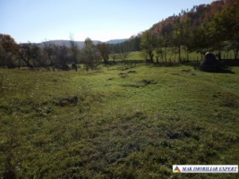 teren-intravilan-6000-mp-de-vanzare-in-albestii-de-muscel-candesti-arges-3
