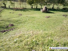 teren-intravilan-6000-mp-de-vanzare-in-albestii-de-muscel-candesti-arges-4