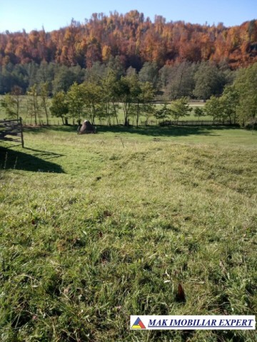 teren-intravilan-6000-mp-de-vanzare-in-albestii-de-muscel-candesti-arges-2