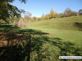 teren-intravilan-6000-mp-de-vanzare-in-albestii-de-muscel-candesti-arges-9