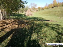teren-intravilan-6000-mp-de-vanzare-in-albestii-de-muscel-candesti-arges-10